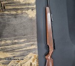 RWS Diana, .22 single pump air rifle 